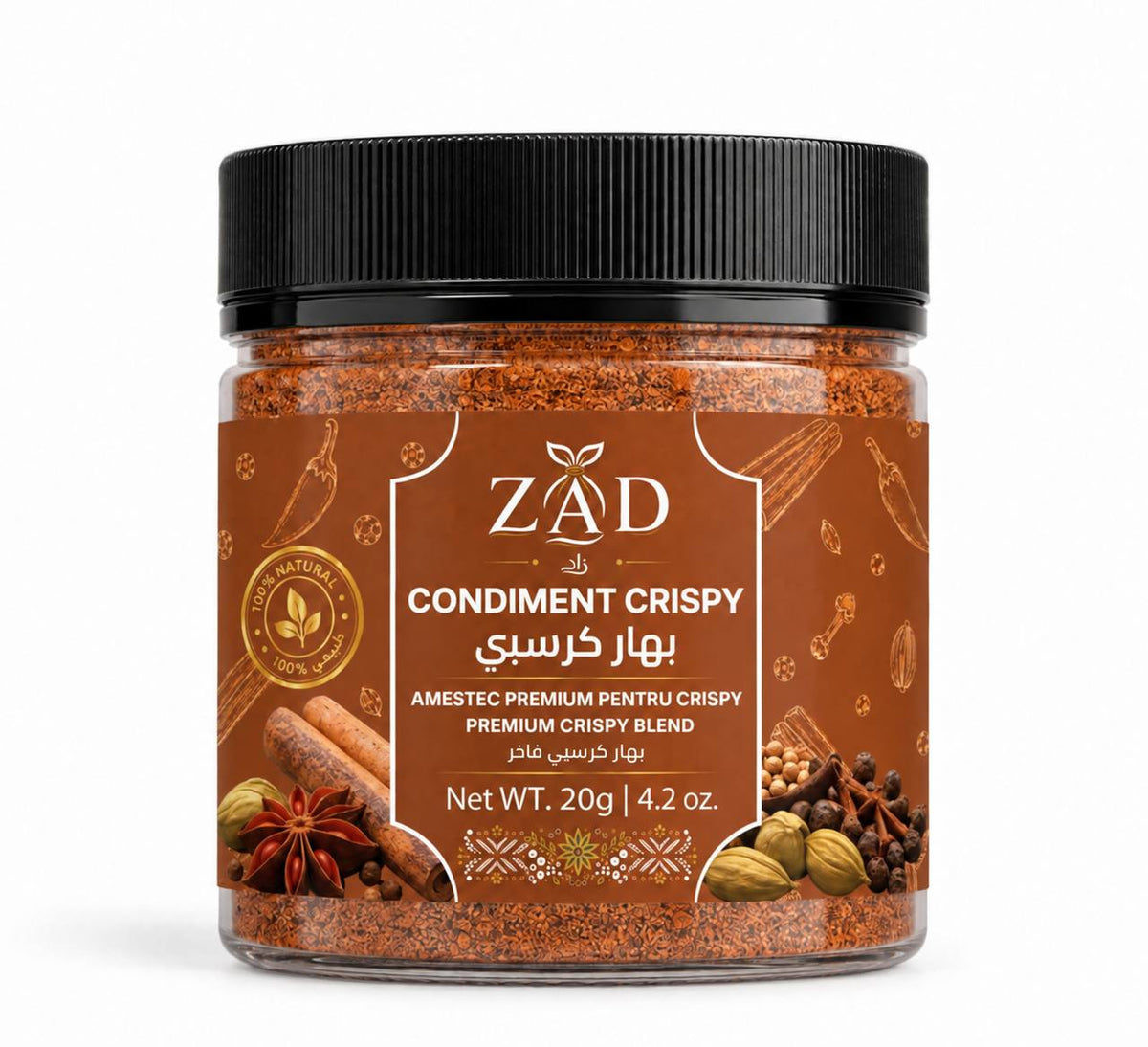 CONDIMENT CRISPY 120G