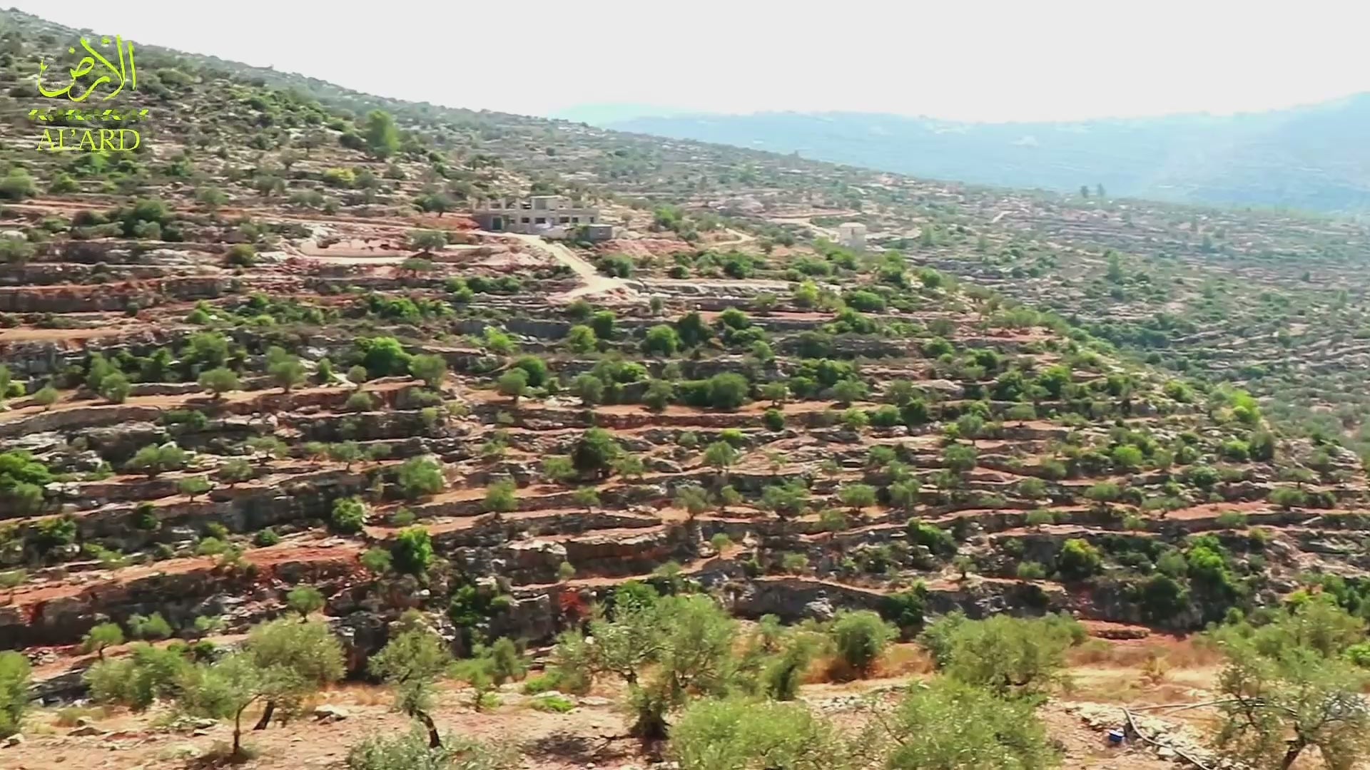 Încarcă clipul video: Cum Se Prepară Uleiul de Măsline Extra Virgin – De la Recoltarea Măslinelor la Gătitul Preparatelor Traditionale Palestiniene